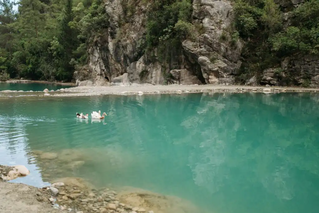 Where to swim in Podgorica? Best swimming spots