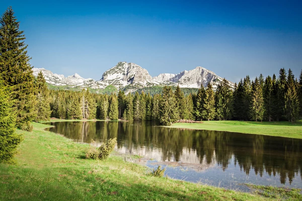 Black Lake Montenegro: A Driver's Guide to Crno Jezero in Durmitor