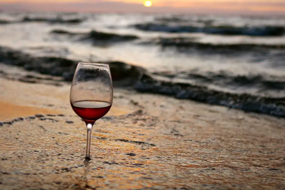 Wine festival in Montenegro