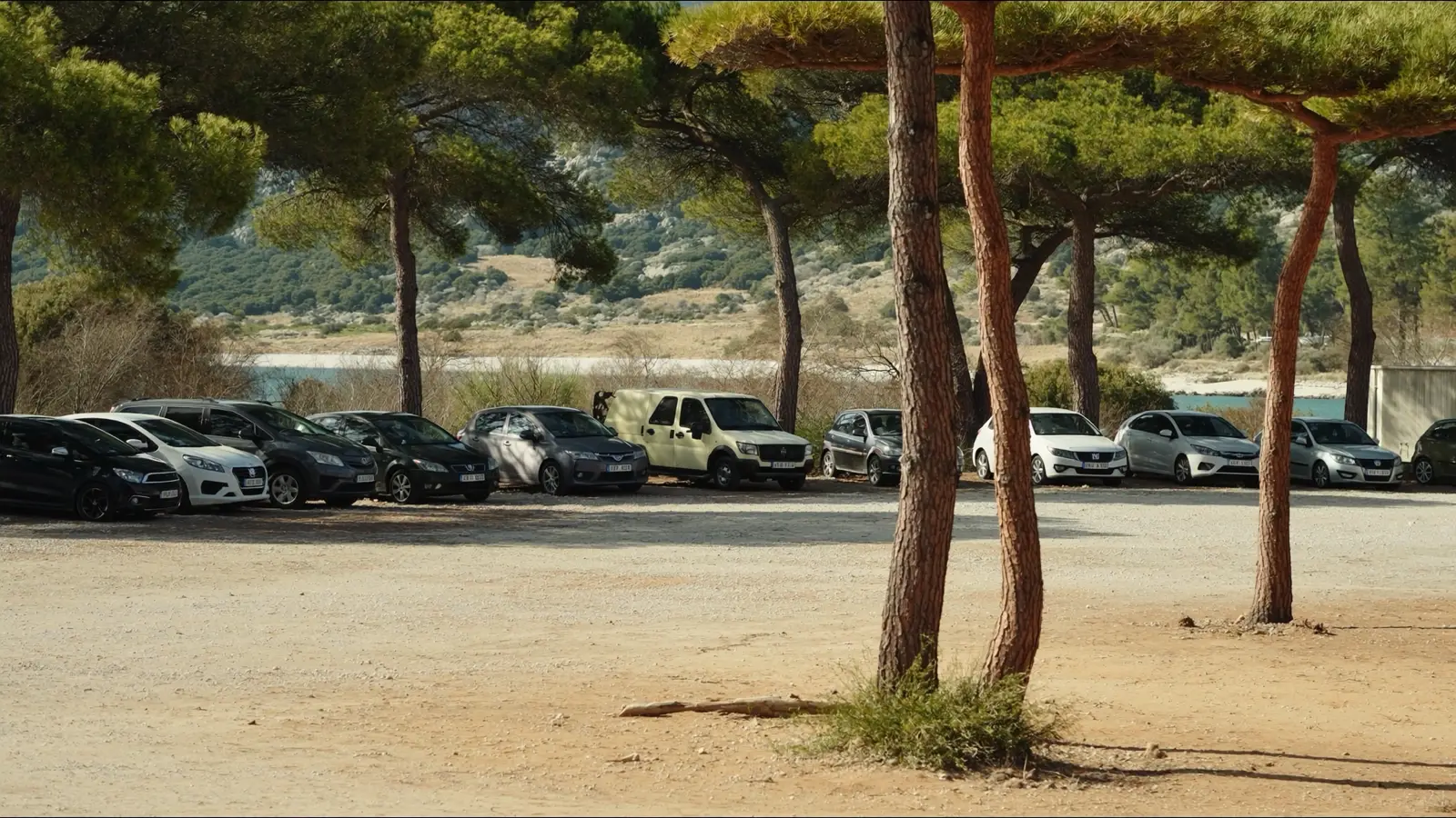 A gravel beach car park under Aleppo pines on the Lustica peninsula