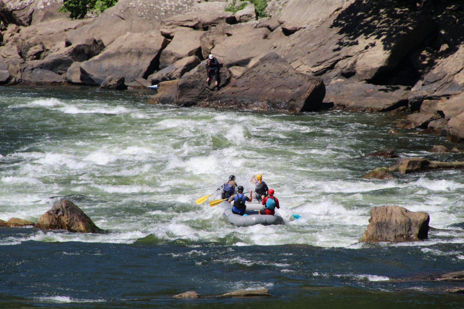 rafting-tara